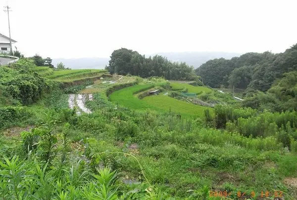 小倉寺町〜鬼取町