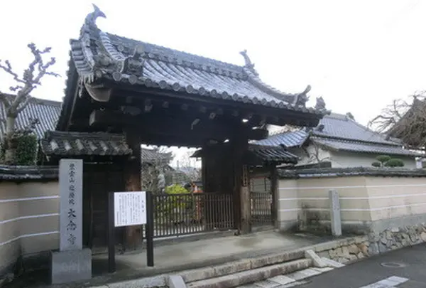 大念寺の写真・動画_image_162081