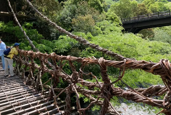 祖谷のかずら橋の写真・動画_image_1641540
