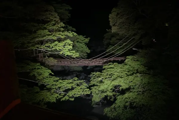 祖谷のかずら橋の写真・動画_image_1641549