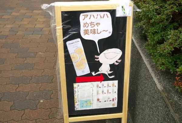 セコドン