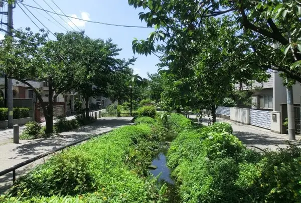 北沢川緑道