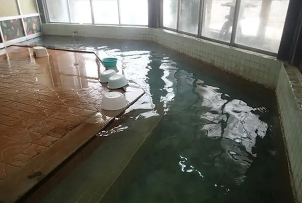 羽根沢温泉