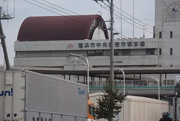 横浜中央卸売市場
