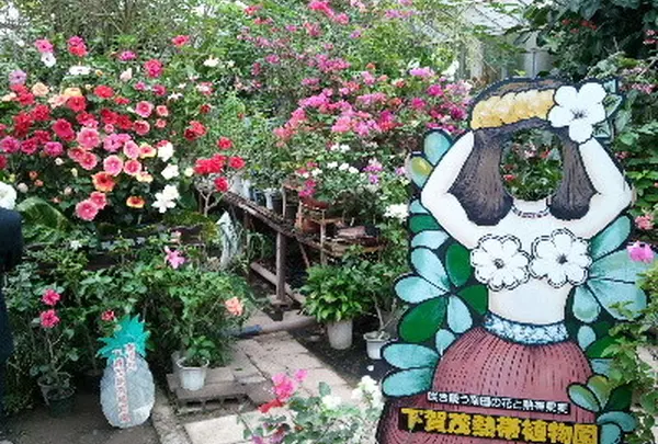 下賀茂熱帯植物園