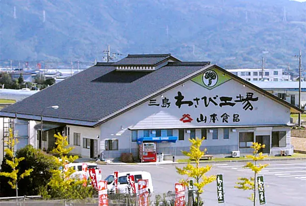 山本食品 三島わさび工場