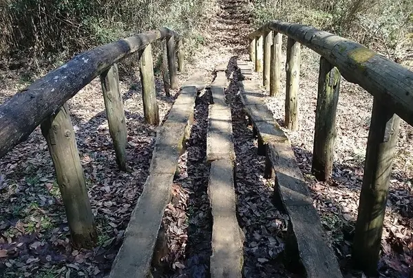 野山北公園