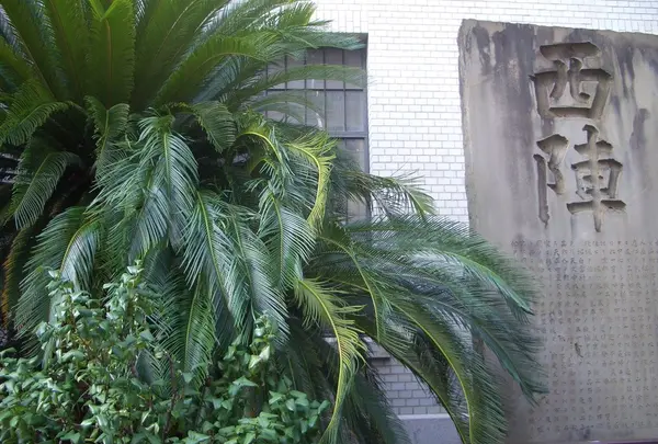 京都市考古資料館の写真・動画_image_170983