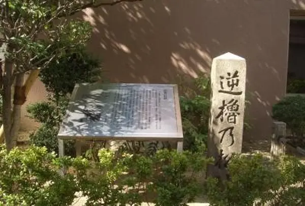逆櫓の松跡