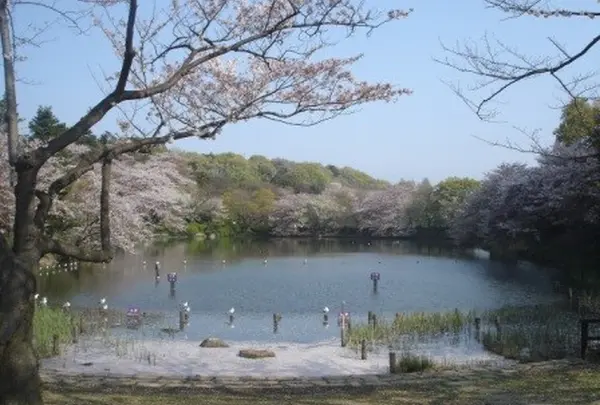 三ツ池公園