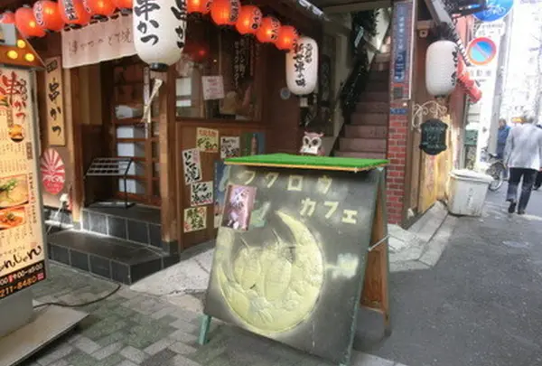 フクロウカフェ LUCKYOWL
