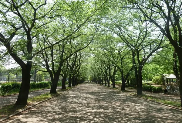 府中の森公園