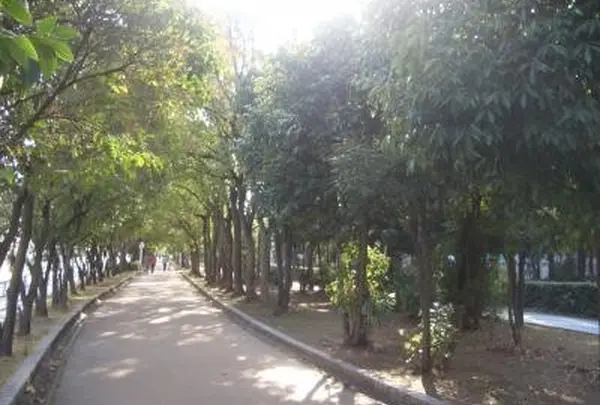 大野川歩行者専用道路