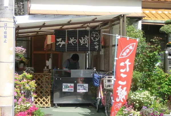 みやたこ