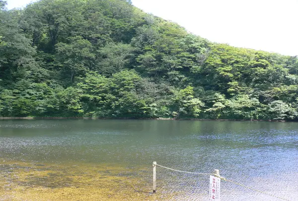 夜叉ヶ池の写真・動画_image_178342