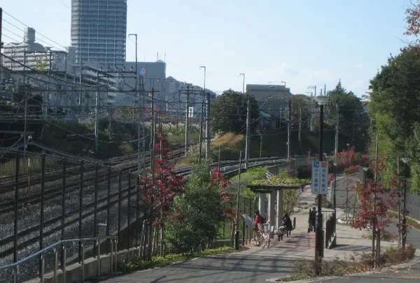 三角地帯