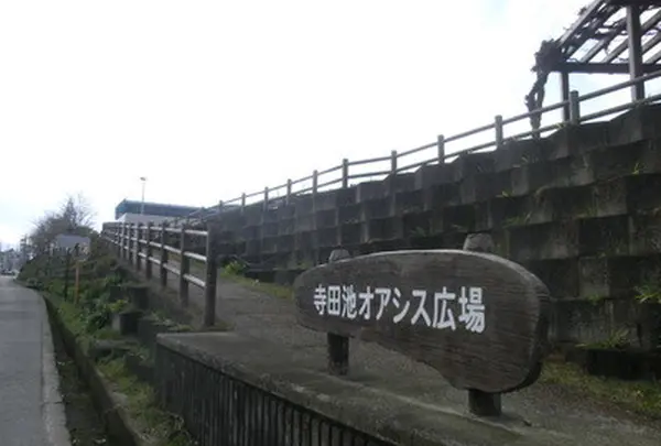 寺田池オアシス広場の写真・動画_image_180236