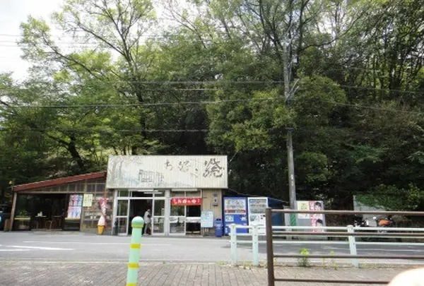 木かげ