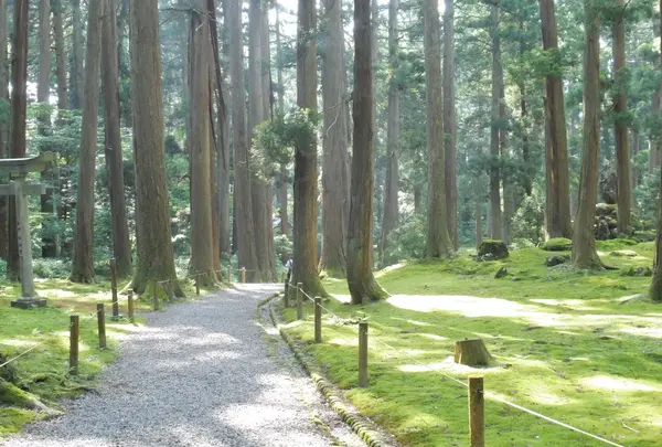 平泉寺白山神社
