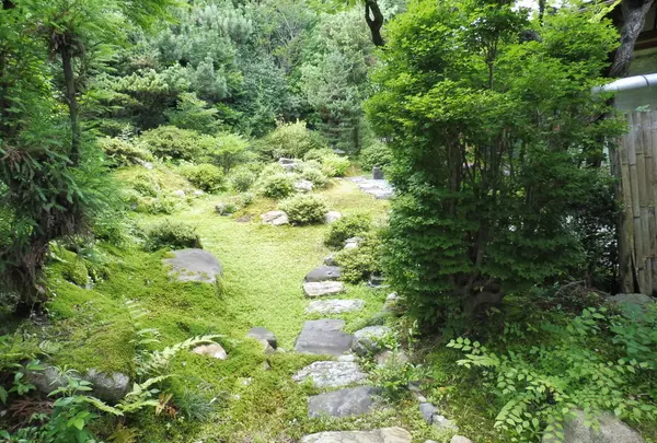 桂昌院