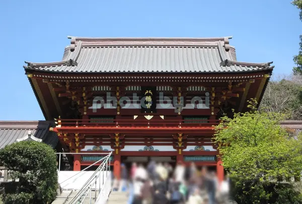 鶴岡八幡宮