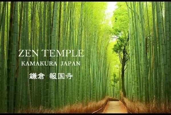報国寺（竹寺）