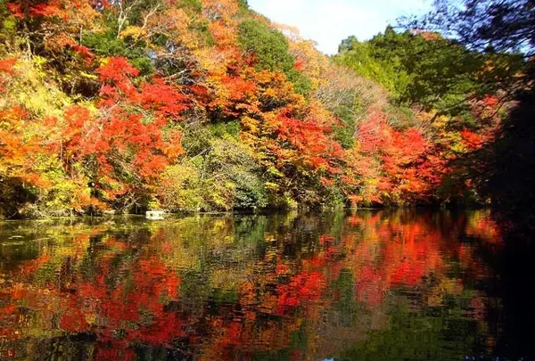亀山湖