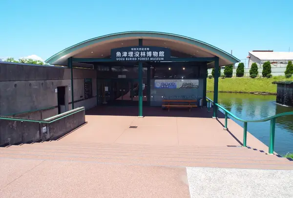 魚津埋没林博物館