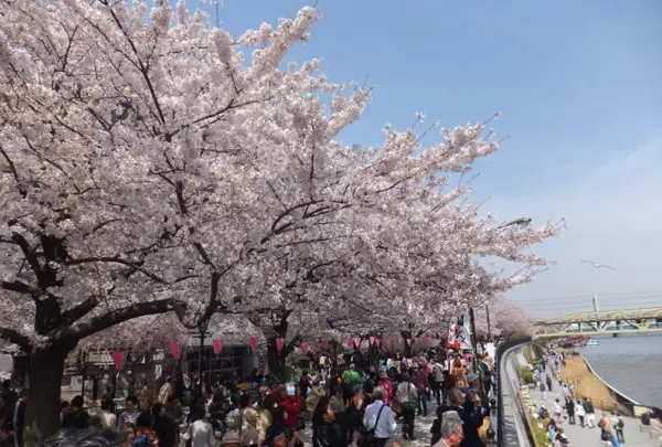 隅田公園
