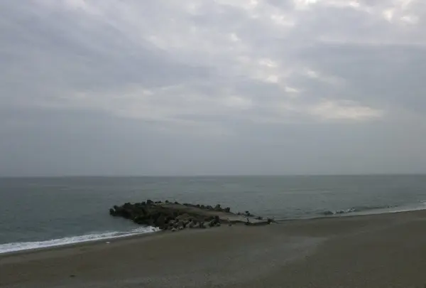 桂浜の写真・動画_image_189300
