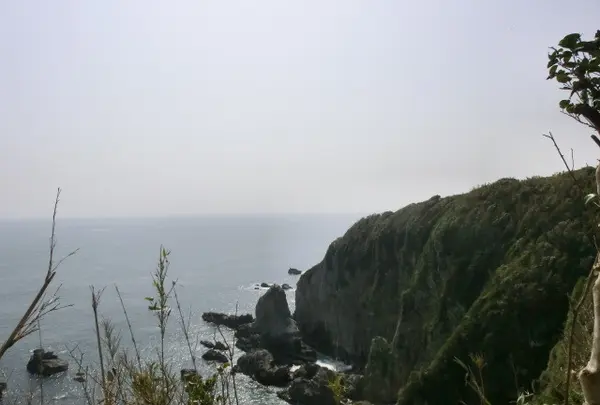 足摺岬の写真・動画_image_189306
