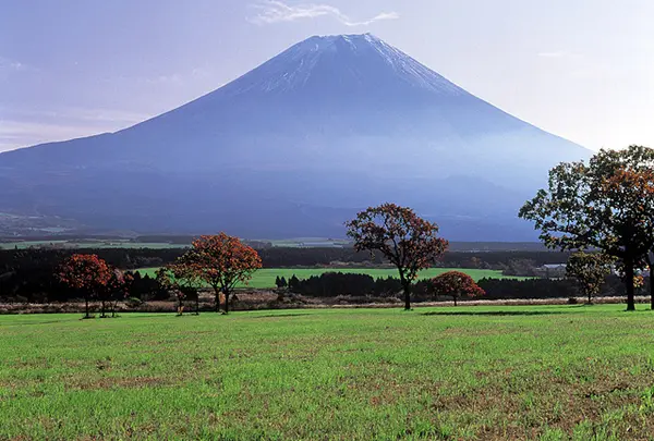 朝霧高原