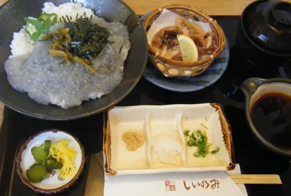 旬菜魚彩しいのみ