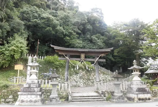柏原八幡宮の写真・動画_image_197514