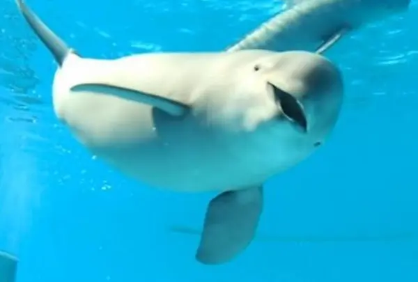 宮島水族館 みやじマリン