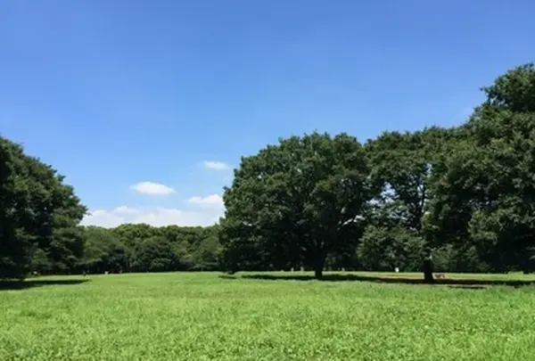 代々木公園