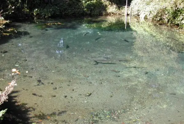 底抜池