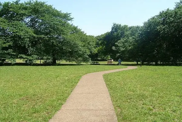 砧公園