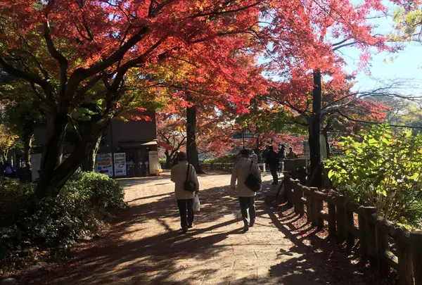 井の頭恩賜公園