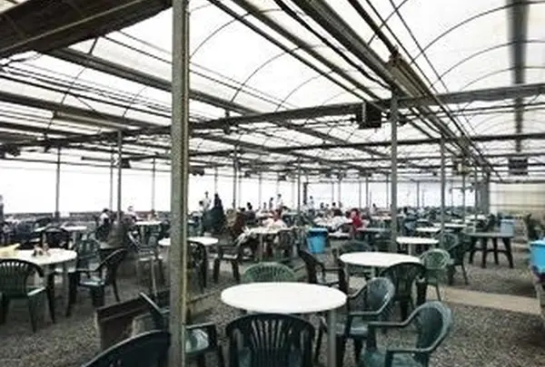 魚太郎 本店の写真・動画_image_207937