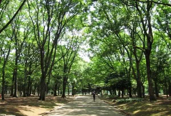 代々木公園