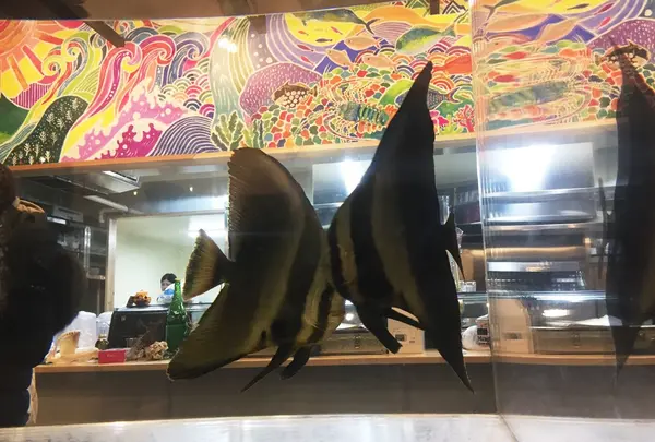 国頭港食堂の写真・動画_image_208461