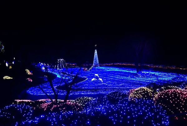 京都イルミエール