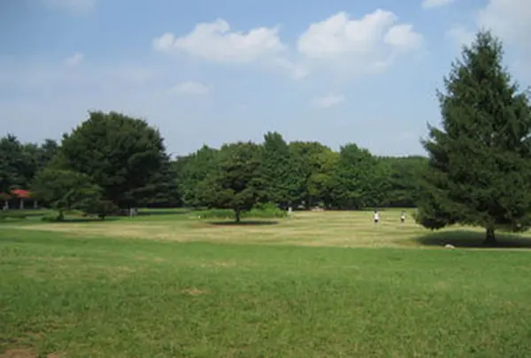 光が丘公園