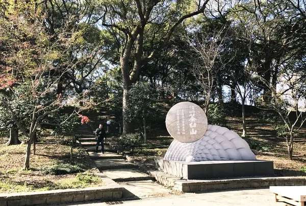 茶臼山