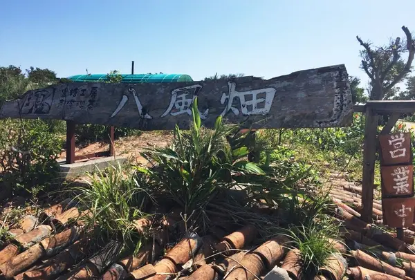 黒糖工房・青空喫茶 八風畑の写真・動画_image_210879