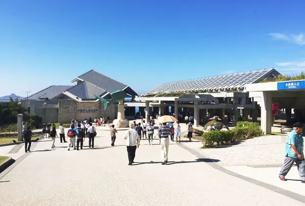 沖縄美ら海水族館