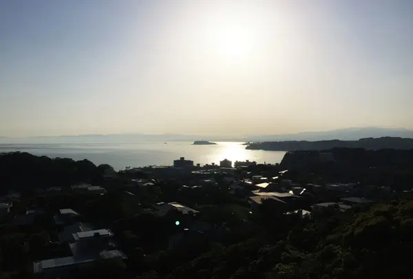 披露山公園の写真・動画_image_211149
