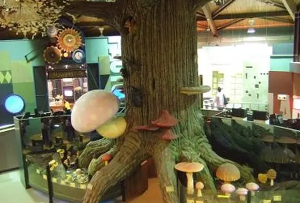 茨城県きのこ博士館