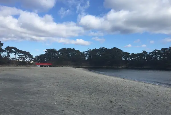 雄島の写真・動画_image_211539
